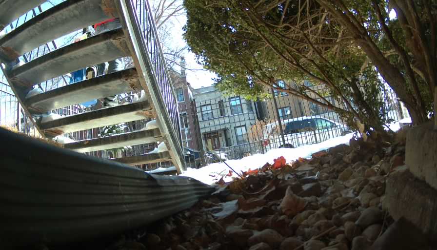 Reolink Camera Two_01_Reolink Home Hub One_20250111092106.jpg